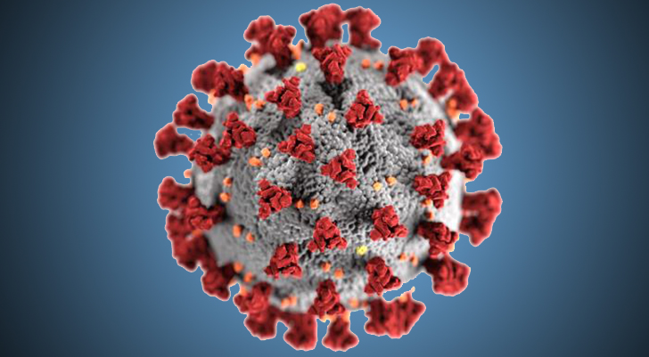 This illustration, created at the Centers for Disease Control and Prevention (CDC), reveals ultrastructural morphology exhibited by coronaviruses. Photo credit: Alissa Eckert, MS, Dan Higgins, MAM.